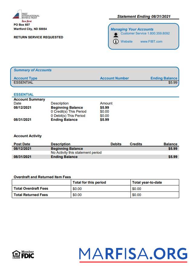 Realistic USA First International Bank & Trust bank statement word example